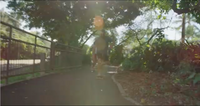 Video image